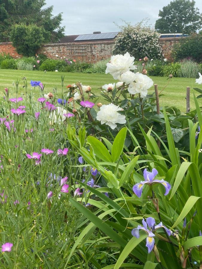 Bed and Breakfast Chadwell Hill Farm Longwick Exteriér fotografie